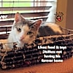 Thumbnail photo of Oliver #4