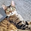 Thumbnail photo of Lulu #2
