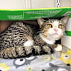 Thumbnail photo of Greta #2