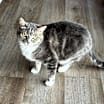 Thumbnail photo of Delilah 3 #1