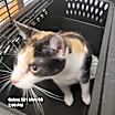 Thumbnail photo of Steffie #4