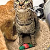 Thumbnail photo of Hannah #1