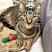 Thumbnail photo of Hannah #3