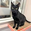 Thumbnail photo of Billie Jean H #1