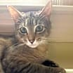 Thumbnail photo of LILLIAN #1