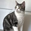 Thumbnail photo of LEO STARBUCK #1
