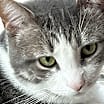 Thumbnail photo of LEO STARBUCK #2
