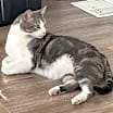 Thumbnail photo of LEO STARBUCK #3