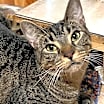 Thumbnail photo of Shirley #2