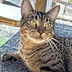 Thumbnail photo of Shirley #4