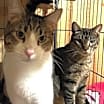 Thumbnail photo of Lenny #3