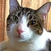 Thumbnail photo of Lenny #4