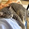 Thumbnail photo of Maggie #4