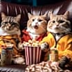 Thumbnail photo of Adorable Kitty VIDEOS #1