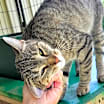 Thumbnail photo of TK #4
