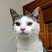 Thumbnail photo of Pam #1