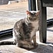 Thumbnail photo of Delilah 3 #2