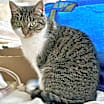 Thumbnail photo of Lucy #3