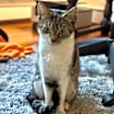 Thumbnail photo of Lucy #4