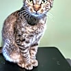 Thumbnail photo of Liz #1