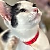 Thumbnail photo of Eloise #2