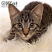 Thumbnail photo of Otto #2
