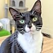 Thumbnail photo of Missy #1