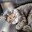 Thumbnail photo of River #4