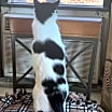 Thumbnail photo of Ava Marie #2