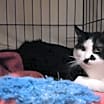 Thumbnail photo of Tres #2
