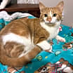Thumbnail photo of Perry #2