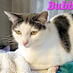 Thumbnail photo of Bubblez #2