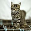 Thumbnail photo of Rhys #1