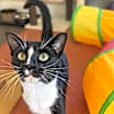 Thumbnail photo of Kyler #1