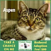Thumbnail photo of Aspen #1