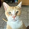 Thumbnail photo of Sunshine #1