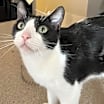 Thumbnail photo of Buddy #2