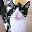 Thumbnail photo of Buddy #3