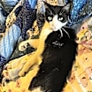 Thumbnail photo of Buddy #4