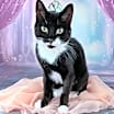 Thumbnail photo of Princess Leia #2