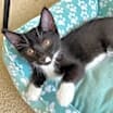 Thumbnail photo of Alicia #1