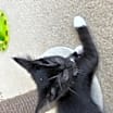 Thumbnail photo of Alicia #3