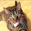 Thumbnail photo of Kingston #4
