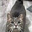 Thumbnail photo of Daphne #2