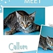 Thumbnail photo of Callum #1