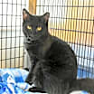 Thumbnail photo of Elvira #1
