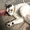 Thumbnail photo of Stefan #3