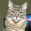 Thumbnail photo of Kiki #2