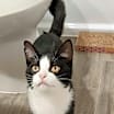 Thumbnail photo of Buddy #2