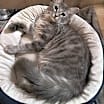 Thumbnail photo of Emery & Sage #2